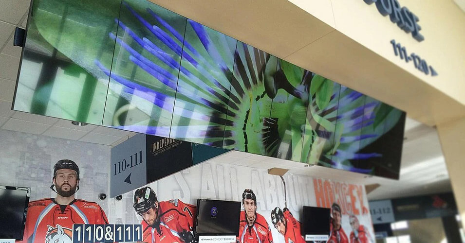 Hängende Videowand in der Silverstein-Arena mit dem Foto einer Blume, hinter der die Eishockeyspieler abgebildet sind