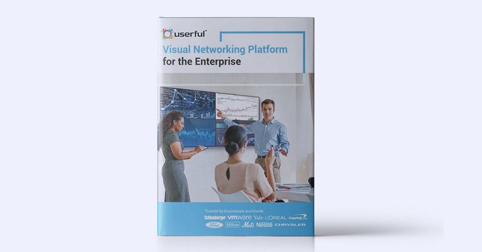 Userful's Visual Networking Plattform für das Unternehmen Ebook